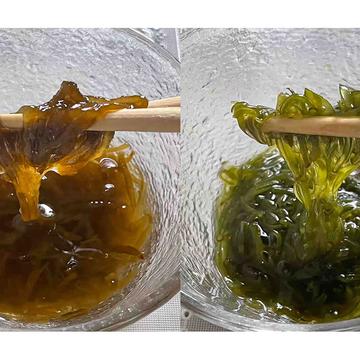 記事画像
