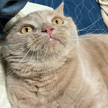 記事画像