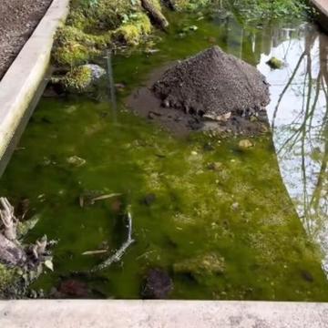 記事画像