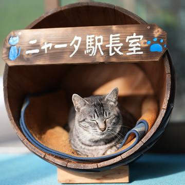 記事画像