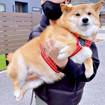 記事画像