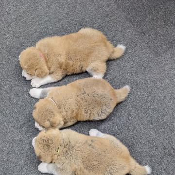 記事画像