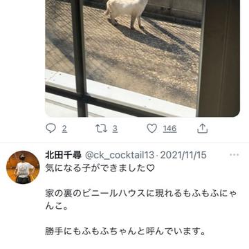 記事画像