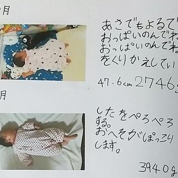 記事画像