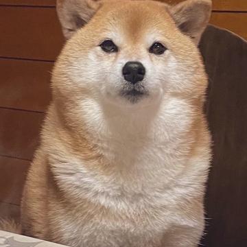 記事画像