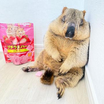 記事画像