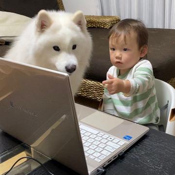 記事画像