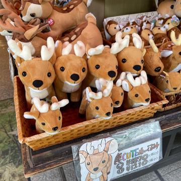 記事画像