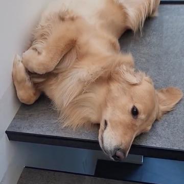 記事画像