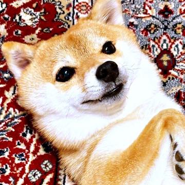 記事画像