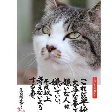 記事画像