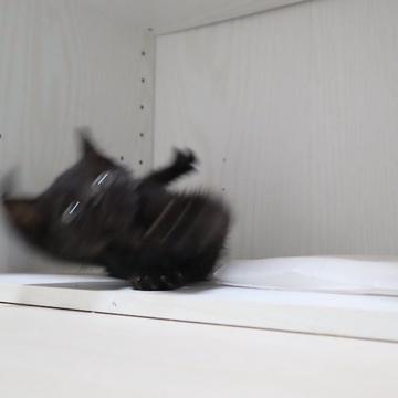記事画像