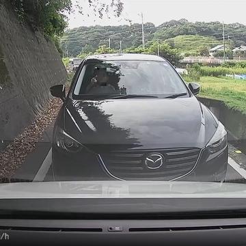 記事画像