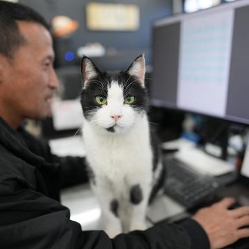 記事画像
