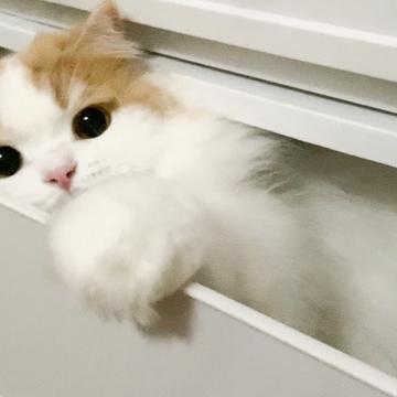 記事画像