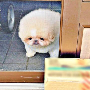 記事画像