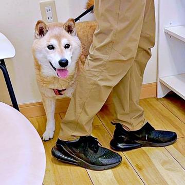 記事画像