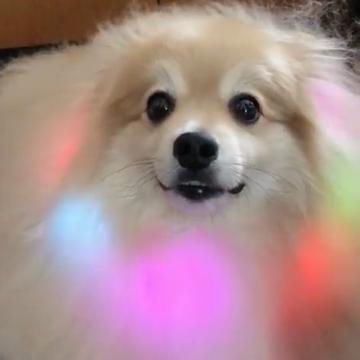 記事画像