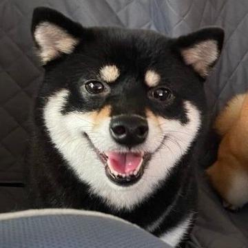 記事画像