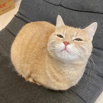 記事画像
