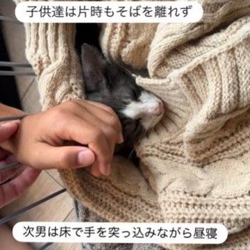 記事画像