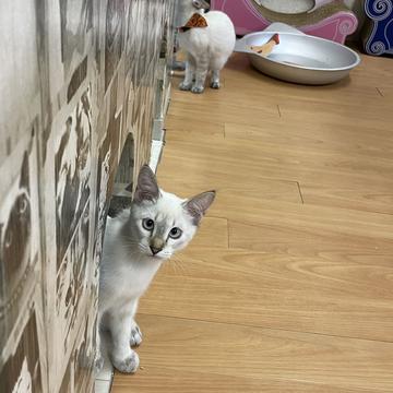 記事画像