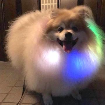 記事画像